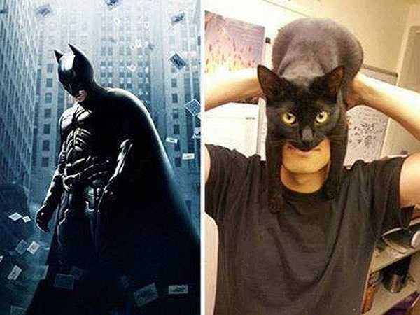 Batman & Catman. Bạn chọn ai ?