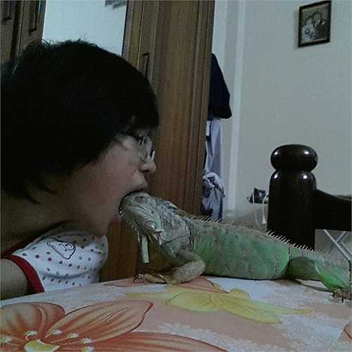 Nhật Minh với rồng Nam Mỹ. Đặc biệt, toàn bộ các loại bò sát đang nuôi cô cho chúng sống chung với mình tại phòng riêng.