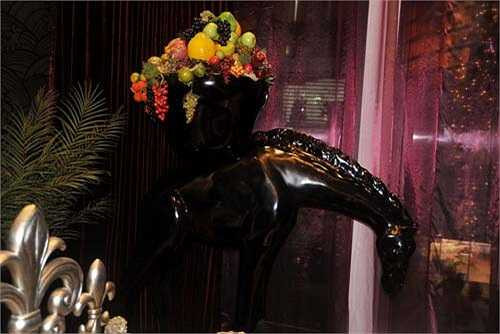 Thế nhưng, Mr Đàm là ca sỹ đầu tiên tại Việt Nam được trả phí để thực hiện bộ ảnh về nhà riêng