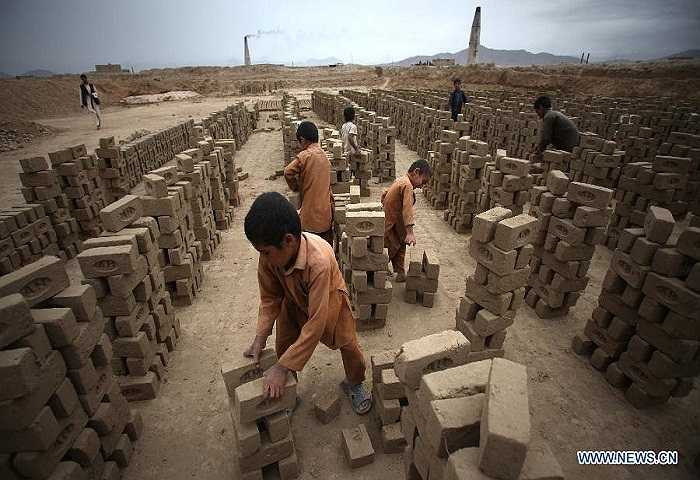 Đáng nói hơn, một nửa trong số đó, tức khoảng 85 triệu trẻ em, đang phải làm các công việc nguy hiểm liên quan đến chất hóa học, thuốc trừ sâu và tiếp xúc với các máy móc nguy hiểm.