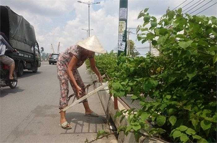Theo người dân ở đây, đơn vị thi công chỉ mở hàng rào công trình cho người dân chạy về hướng trung tâm quận Thủ Đức từ sau 17h đến sáng hôm sau. Ngoài thời gian đó, người dân sống trong phạm vi công trình này buộc phải chạy về ngã 3 giao với đường số 20 rồi ngược lại đường Kha Vạn Cân về trung tâm quận Thủ Đức.