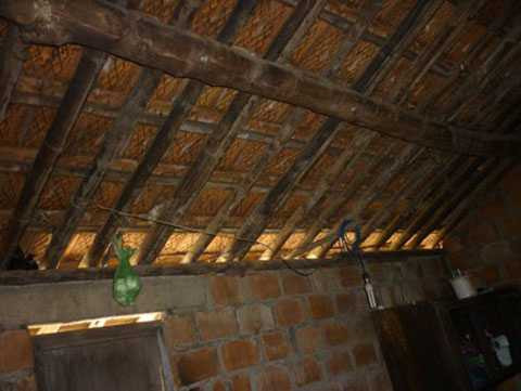 trẻo cổ tự tử, 7 người con, huyện Bình Phước, Bình Định