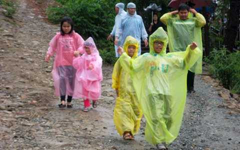 Nghìn người, đội mưa, viếng mộ, Đại tướng, Tết Độc Lập, Võ Nguyên Giáp