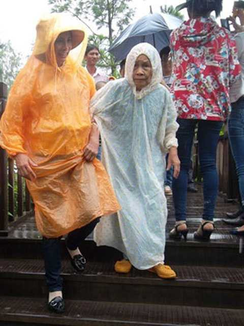 Nghìn người, đội mưa, viếng mộ, Đại tướng, Tết Độc Lập, Võ Nguyên Giáp