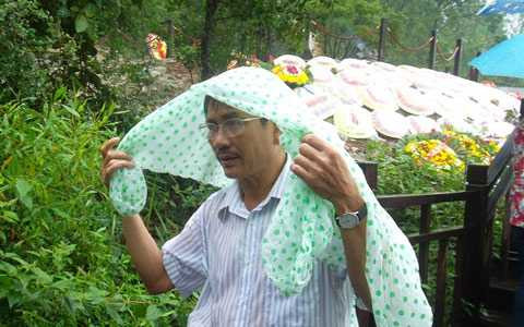 Nghìn người, đội mưa, viếng mộ, Đại tướng, Tết Độc Lập, Võ Nguyên Giáp