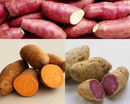 Vỏ khoai lang chứa nhiều vitamin và khoáng chất.