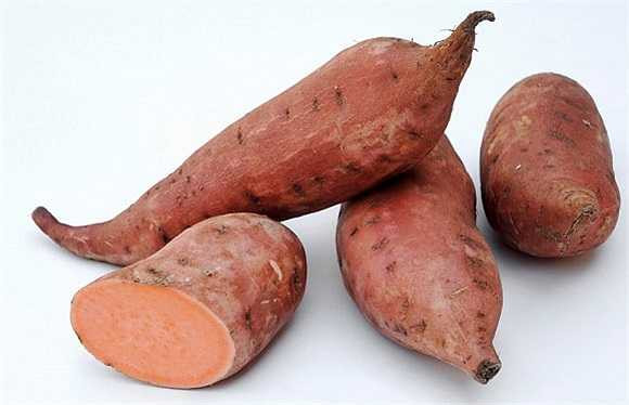 Mặt khác, ánh sáng mặt trời buổi chiều rất tốt cho sự thúc đẩy sự hấp thụ can-xi của cơ thể. 