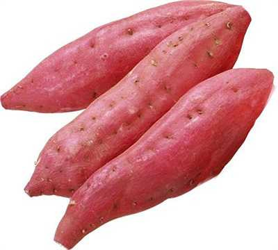 Nên ăn kèm đạm động vật, thực vật để cân bằng thành phần dưỡng chất.