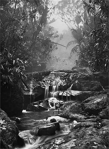 Dòng sông nơi người Yanomami sinh sống đã bị nhiều kẻ đi đãi vàng tìm đến