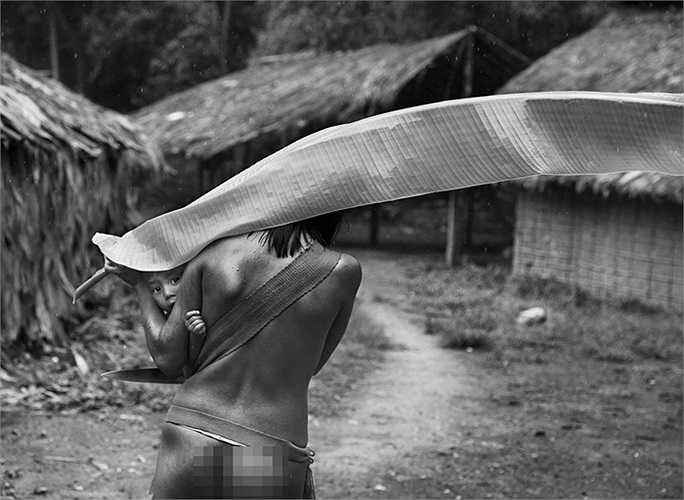 Người Yanomami dùng lá chuối làm ô