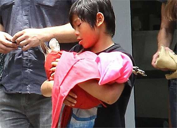 Tháng 3/2007, cặp đôi quay trở lại Việt Nam để nhận Nguyễn Quang Sáng làm con nuôi.