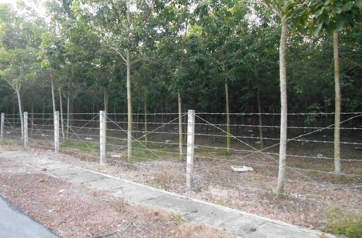 Bình Dương lên tiếng về khối tài sản 'khủng' của Chủ tịch tỉnh