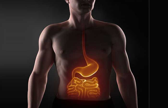 Ăn nhiều thịt: Những người ăn chay có xu hướng mắc ung thư thấp hơn những người không ăn chay rất nhiều lần. Điều này là do thịt động vật là các thành phần sẽ nuôi dưỡng tế bào ung thư phát triển.