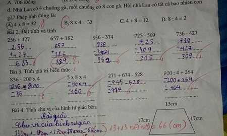 Bài Toán tính gà gây xôn xao dân mạng 