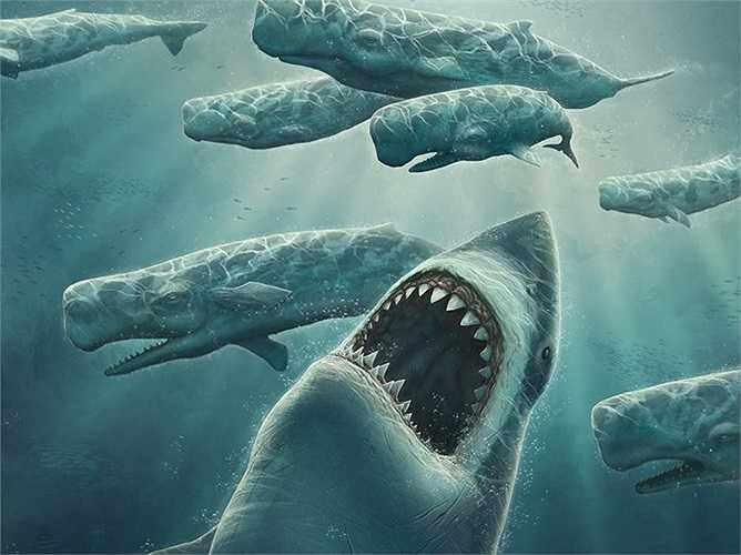 Địa điểm hóa thạch là bằng chứng cho thấyCarcharodon megalodon phân bố rộng khắp thế giới nhưng nhiều nhất là ở Thái Bình Dương. Carcharodon megalodon là một trong những động vật ăn thịt dữ tợn, hung hãn và ghê gớm nhất trong lịch sử Trái đất. 
