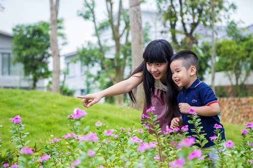 Biệt thự liền kề có bể bơi giá chỉ 4,7 tỷ đồng