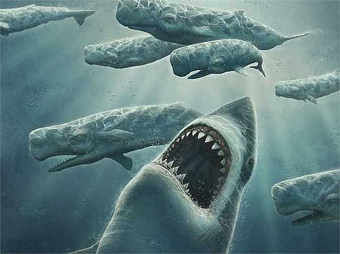 Cá mập Megalodon trưởng thành đạt chiều dài tối đa 20 mét, riêng răng của nó đã là 18cm. Loài cá mập này sống khoảng 28 triệu năm về trước. Thức ăn của Megalodon là cá voi hay cá nhà táng hay thậm chí là những con khủng long ăn thực vật khổng lồ.