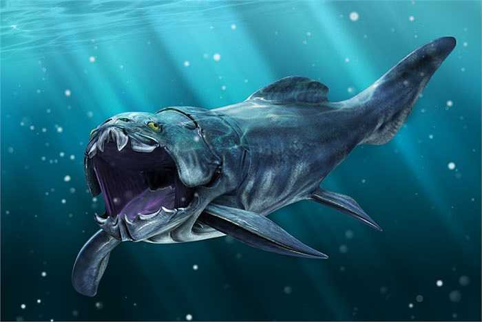 Toàn thân cá bọc thép Dunkleosteus được bao phủ bởi các tấm xương rắn như thép. Cơ thể dài tới 10 mét và nặng khoảng 4 tấn. Chúng không có răng nhưng thay vào đó những con cá này sở hữu hai bản xương sắc bén, hình thành một cấu trúc như mỏ chim sẵn sàng xé xác bất kì thứ gì chúng gặp và thậm chí là ăn thịt đồng loại.