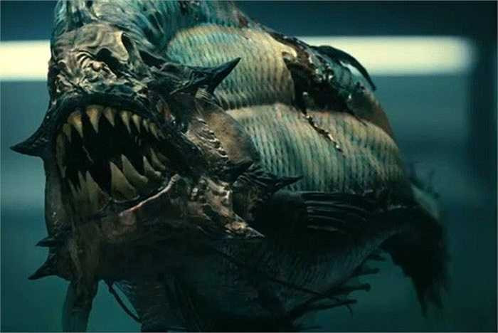 Cá Piranha khổng lồ sống vào 8 – 10 triệu năm trước và dài đến 1 mét, lớn gấp 3 lần so với loài piranha hiện đại ngày nay.