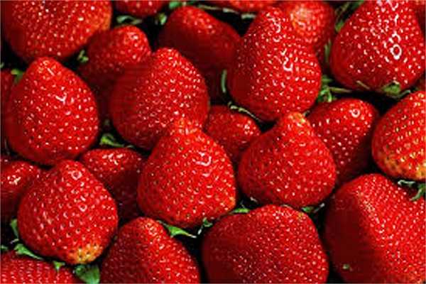 Dâu tây: Dâu tây giàu vitamin và chất xơ, được biết đến như một người bạn hỗ trợ trong công cuộc đánh tan mỡ bụng.