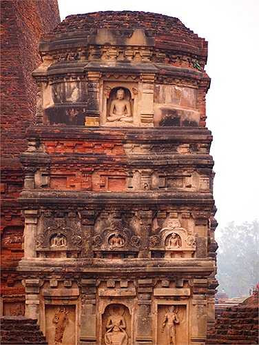 Trường vẫn đang tiếp tục tuyển trọn những hồ sơ ưu tú. Dự kiến đến năm 2020, Nalada sẽ có đầy đủ các khóa đạo tạo các môn học về triết học, tâm linh, khoa học xã hội cho các bậc học trên đại học như thạc sĩ và tiến sĩ.