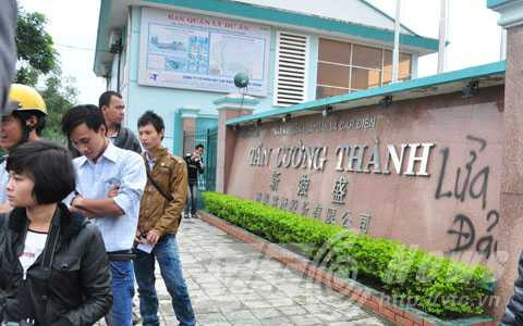 Bắt giữ, Tổng giám đốc, Tân Cường Thành, Đà Nẵng, dự án, mua đất, hoang mang