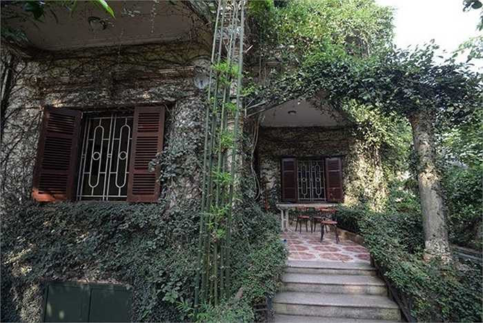 Ngôi nhà cây của Ông Nguyễn Thiện Hùng tại quận Long Biên, Hà Nội được bao bọc kín bởi nhiều loại cây, dây leo. Phần lớn diện tích đất được chủ nhân sử dụng để trồng các loại cây và đào ao. Ngôi nhà nhỏ bé dường như bị nuốt chửng giữa rừng dây leo chằng chịt xung quanh.