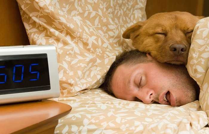 Giảm nguy cơ mắc bệnh trầm cảm: Vật nuôi có một tình yêu vô điều kiện với chủ và rất trung thành, do đó làm giảm nguy cơ mắc chứng trầm cảm ở người. 