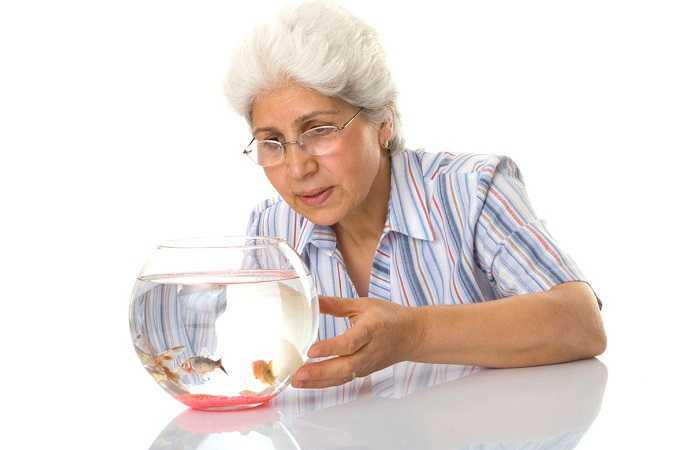 Cải thiện bệnh Alzheimer: Bệnh nhân Alzheimer ít bị căng thẳng và lo lắng hơn nếu có một con vật nuôi trong nhà, cho dù đó là một chú chó, mèo hay cá. Họ sẽ dễ dàng tìm thấy và tiếp xúc với thú cưng nhiều hơn các thành viên khác, thúc đẩy họ tham gia nhiều hoạt động cùng vật nuôi do không giao tiếp bằng lời.