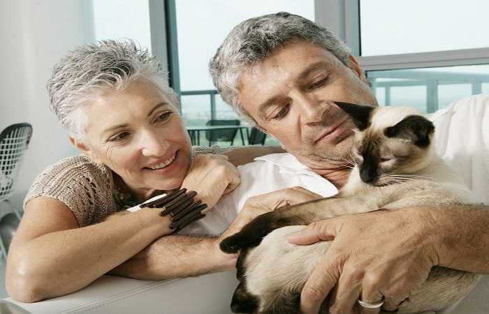 Sức khỏe tổng thể tốt hơn: Thông thường người ta bắt đầu gặp vấn đề sức khỏe sau tuổi 65, nhưng một nghiên cứu phát hiện ra rằng những người trên 65 tuổi có nuôi động vật trong nhà giảm 30% các vấn đề về sức khỏe so với những người không có.
