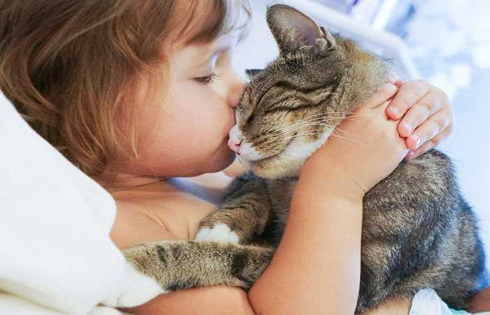 Cơ hội mắc bệnh dị ứng thấp hơn: Đây là một bất ngờ bởi nhiều người có xu hướng nghĩ rằng các vật nuôi gây ra dị ứng và bệnh hô hấp cho trẻ. Trên thực tế, trẻ em lớn lên trong gia đình nuôi vật nuôi có lông như chó và mèo có xu hướng phát triển sức đề kháng chống lại bệnh dị ứng và hen suyễn.