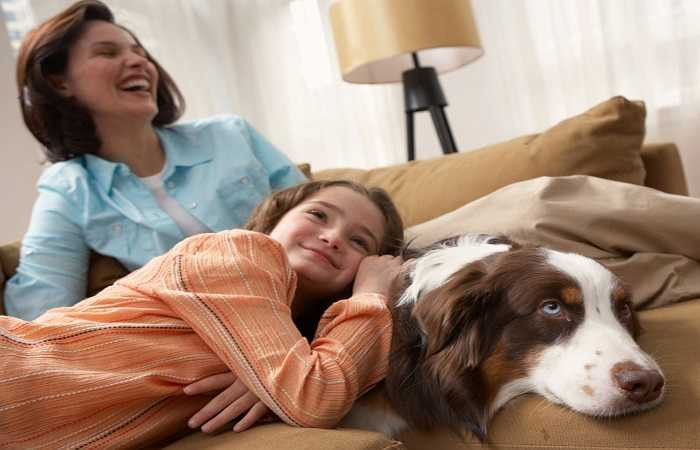 Giảm mức độ căng thẳng: Chủ vật nuôi sẽ có mức độ căng thẳng thấp hơn so với những người không có thú nuôi. Vuốt ve con vật cưng giúp họ thỏa mãn giác quan và làm giảm cảm giác căng thẳng.