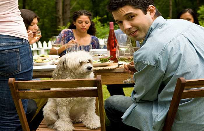 Tăng cường xã hội hóa: Khi bạn đi dạo cùng thú cưng, khả năng bạn có thể tiếp xúc với nhiều người là khá cao, gia tăng mức độ hòa nhập xã hội và thêm nhiều bạn bè mới. 