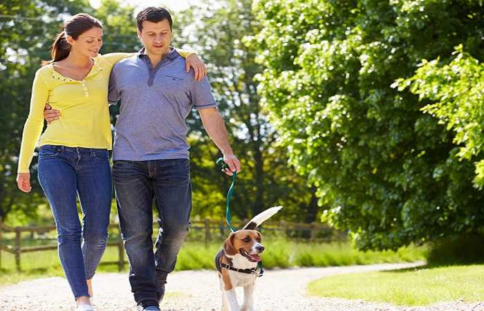 Tập thể dục thường xuyên: Bạn có thể tập thể dục thường xuyên cùng thú cưng để cải thiện sức khỏe tổng thể. Gia đình bạn cũng có thể đến công viên vui chơi cùng thú cưng, đây là một gợi ý cho các hoạt động gia đình lành mạnh, vui vẻ và hoàn hảo.