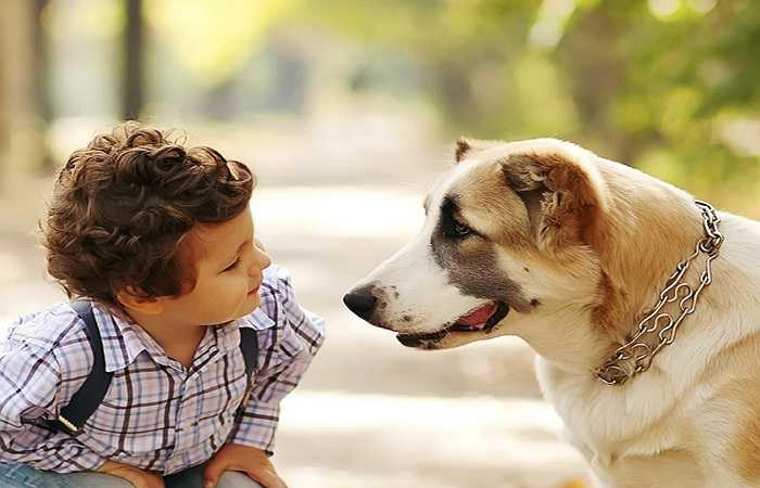 Cải thiện khuyết tật học tập: Những người bị bệnh tự kỷ hoặc học tập khó khăn dễ dàng kết nối với vật nuôi hơn là với mọi người. Có vật nuôi giúp giữ cho họ bình tĩnh và tỉnh táo, nâng cao lòng tự trọng, giảm thiểu sự thất vọng khi gặp phải khó khăn, giao tiếp tốt và cải thiện quá trình học tập. 