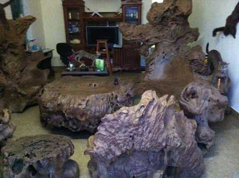 "đại gia" quê lúa, gù hương, Thái Bình, Tây Nguyên