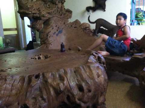 "đại gia" quê lúa, gù hương, Thái Bình, Tây Nguyên