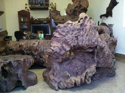 "đại gia" quê lúa, gù hương, Thái Bình, Tây Nguyên