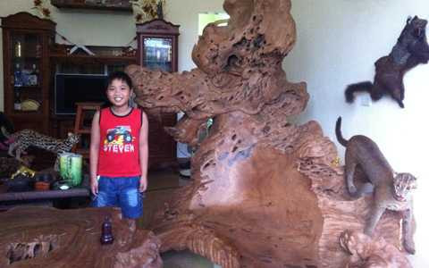 "đại gia" quê lúa, gù hương, Thái Bình, Tây Nguyên