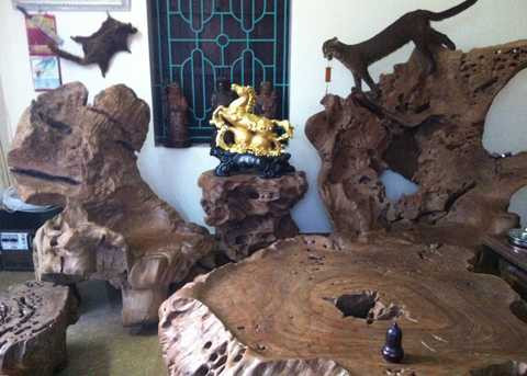 "đại gia" quê lúa, gù hương, Thái Bình, Tây Nguyên