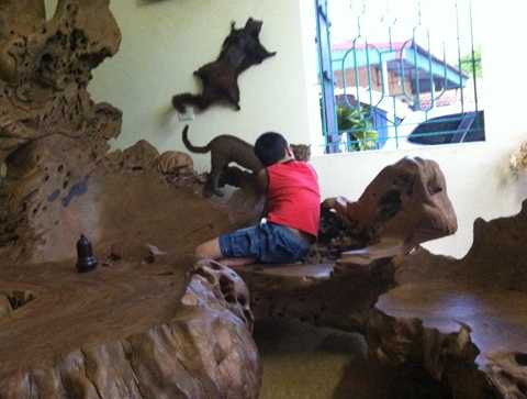 "đại gia" quê lúa, gù hương, Thái Bình, Tây Nguyên