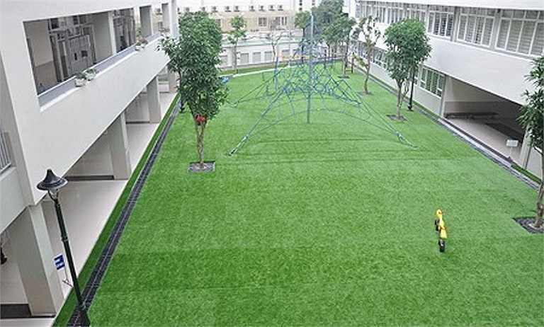 Xung quanh trường có nhiều khu vực trải thảm cỏ cho học sinh vui đùa.