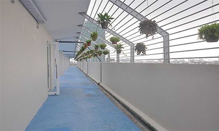 Khu vực này được dành cho học sinh học môn sinh học. Nhà trường dự kiến sẽ bổ sung thêm nhiều loại cây, hoa tại để để học sinh tìm hiểu.