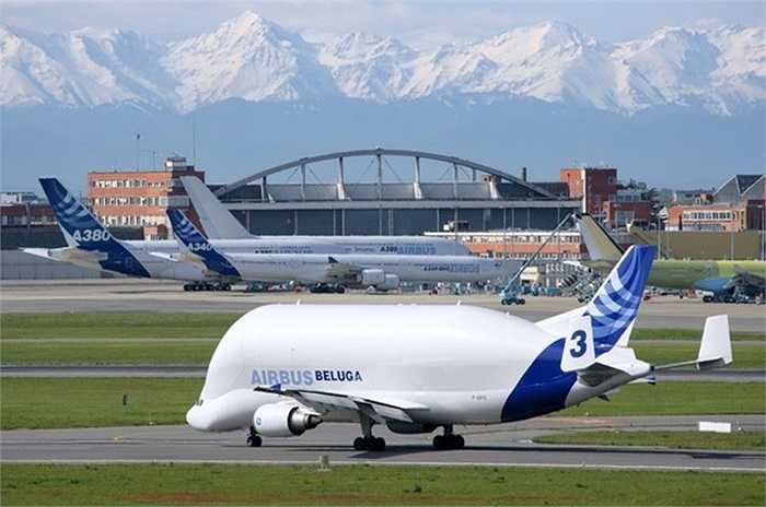 Nhìn từ xa, chiếc máy bay có hình dạng như một con cá voi lưng gù khổng lồ có tên gọi Beluga. Vì vậy, tên giao dịch được in lên thân máy bay là Beluga 