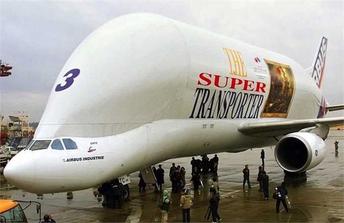 Hiện chỉ có 5 chiếc Beluga trên thế giới. Tất cả được điều hành bởi một công ty vận tải trực thuộc hãng Airbus