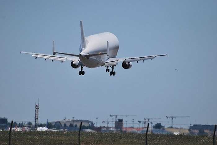 Sự xuất hiện của Beluga ở bất cứ sân bay nào cũng gây chú ý cho cả hành khách lẫn giới kỹ thuật hàng không.