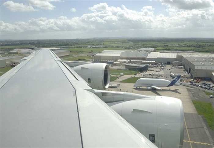 Sải cánh 44,84m, thân dài 56,15m, Beluga không phải quá 'to cao' so với các máy bay dòng Airbus. Tuy nhiên thiết kế đặc biệt khiến khoang vận tải của Beluga có thể tích lên đến 1.410m3