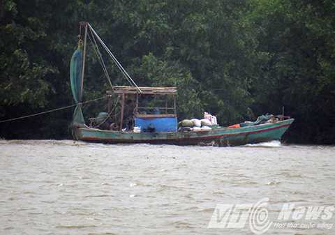 bão số 3, Hải Phòng, gió mạnh cấp 5, 6, Đồ Sơn, neo đậu tàu thuyền