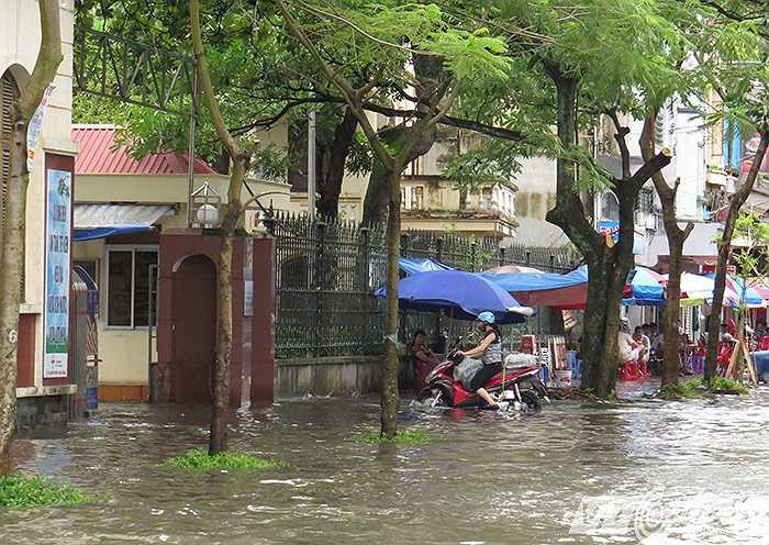 Cổng nhiều cơ quan ngập nặng