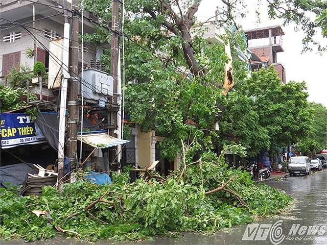 Cây gãy cành đổ sát trạm biến thế